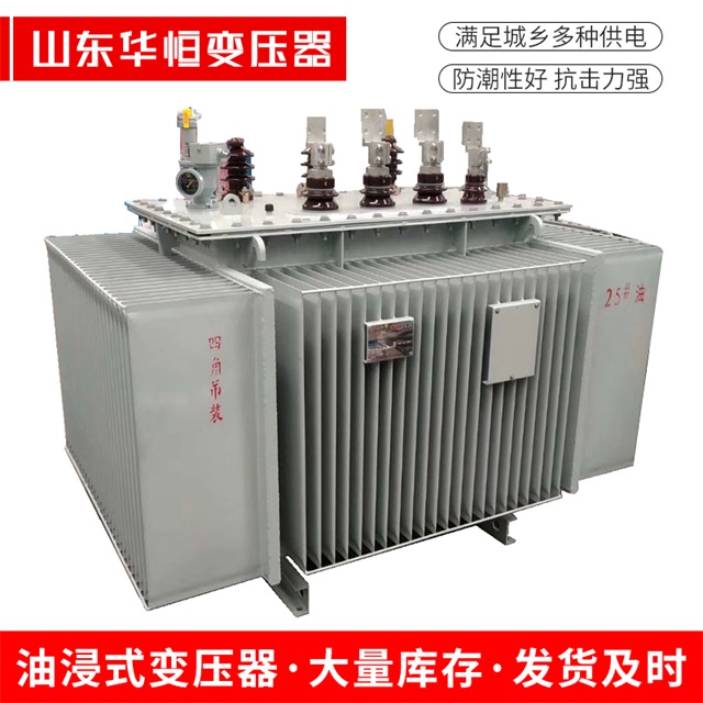 S13-10000/35南充南充南充电力变压器厂家